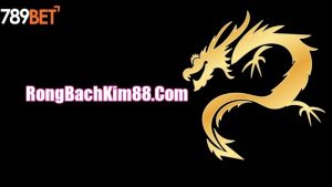 Tìm hiểu về rongbachkim88.com